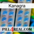 Kanagra 23